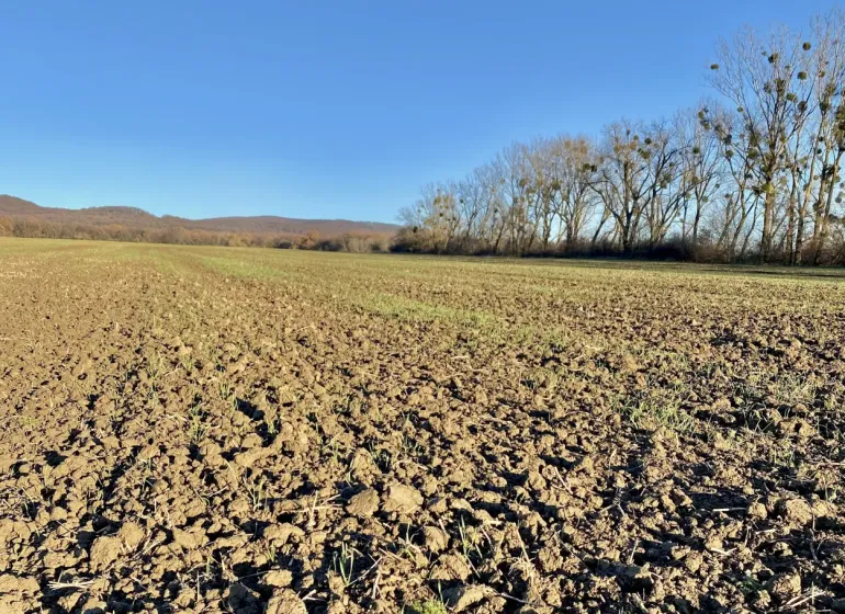 Agricultural and forest land in Zbudza with a view of distant hills and trees.