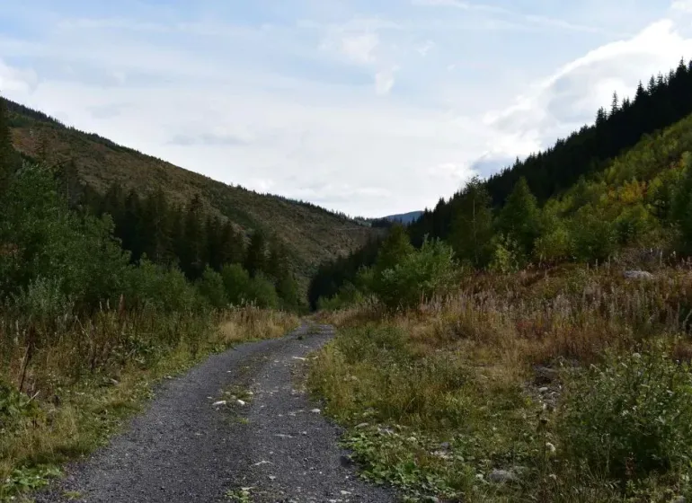 A wooded valley with forest paths around Prievidza, ideal for hiking and relaxation.