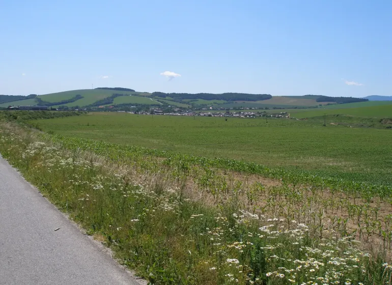 Panoramic view of unique properties in picturesque Jarovnice surrounded by green fields.