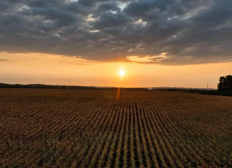 Sunset over the fields in Lekárovce, agricultural and forest lands, dramatic clouds.