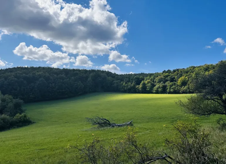 A green meadow surrounded by forests under a blue sky in Lúčky, agricultural and forest lands.