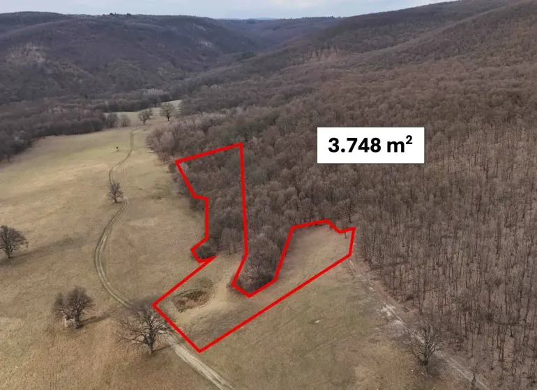 Agricultural and forest land in Príbelce, surrounded by forests and meadows, with an area of 3,748 m².