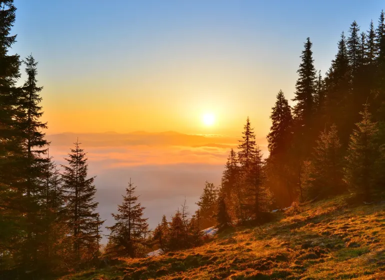 Sunset over the forest lands near Zábiedovo with a gentle mist among the trees.