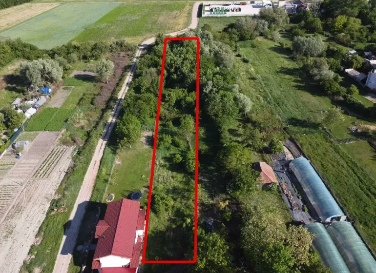 A plot of land in the gardens of the town of Branč, surrounded by greenery and dirt roads.