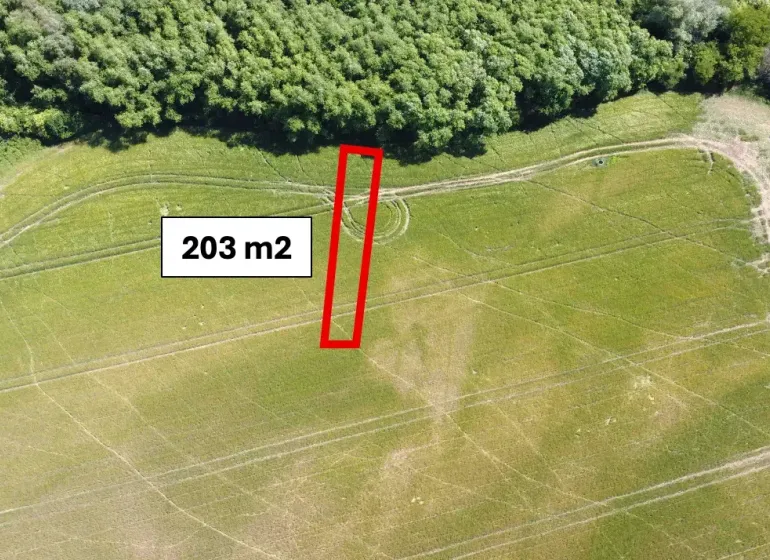 Agricultural and forest land near Kozárovce, area of 203 m² between fields and forest.