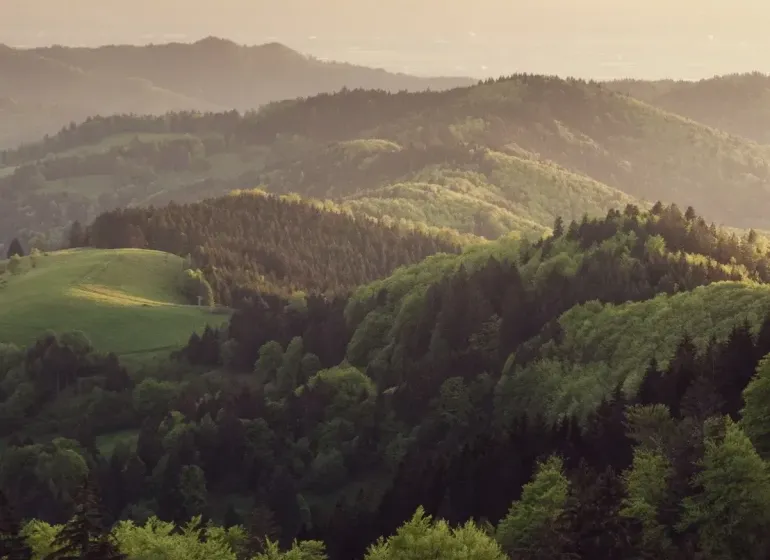 Green hills and forests at sunset around Koňuš, agricultural and forest lands.