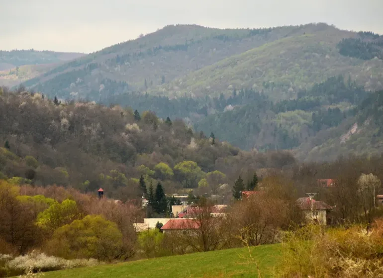 Panorama of forest lands near Horný Tisovník with gentle hills and trees.