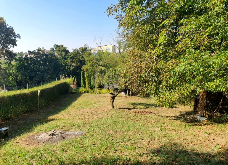 Garden with lawn and trees in Košice on 1st May Street, Krásna.