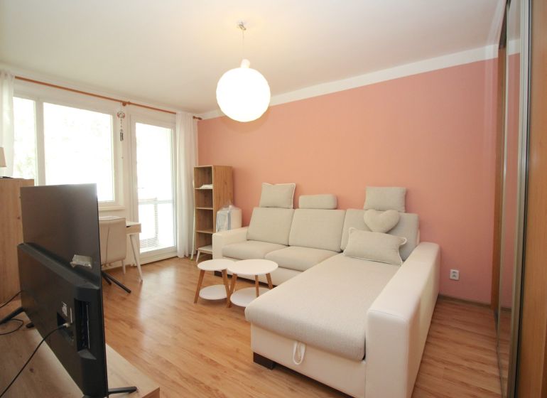 Living room with a sofa, television, and wooden decor flooring in a 2-room apartment.