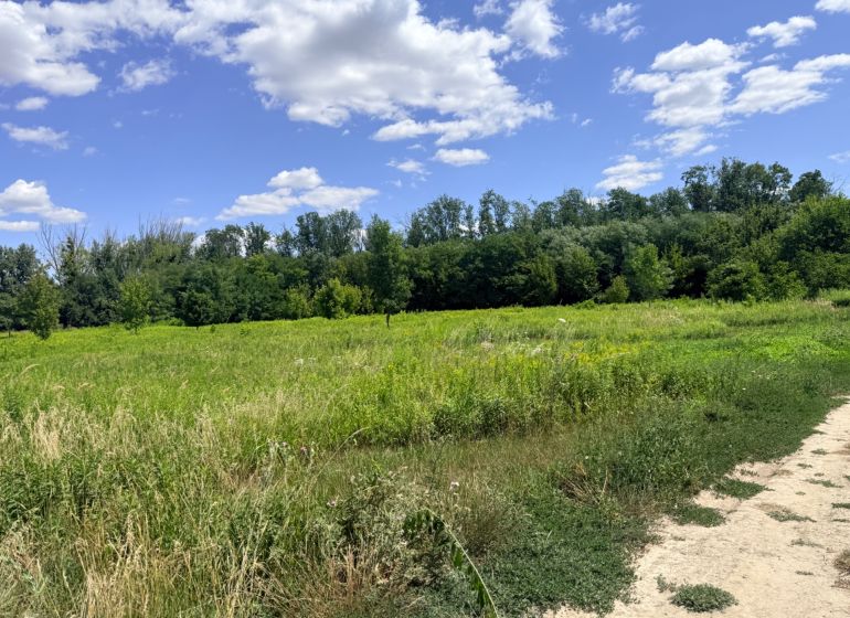Agricultural and forest land in Zálesie, a green meadow with trees and a blue sky.