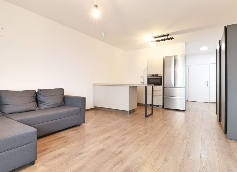 Living room with kitchen, gray sofa, and wooden decor flooring.