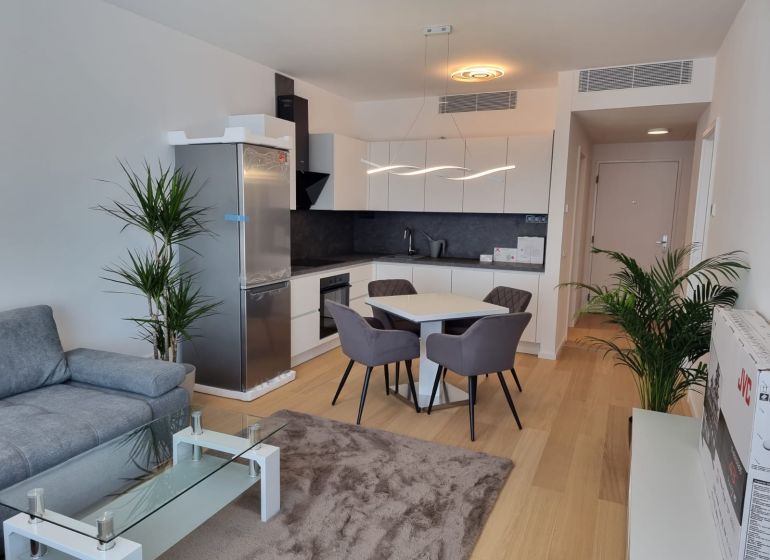 Living room with kitchen in a 2-room apartment, wooden decor flooring, elegant dining set.