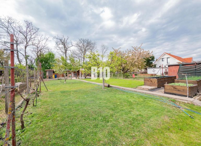 View from a family house in Nitra with a lawn and garden beds.