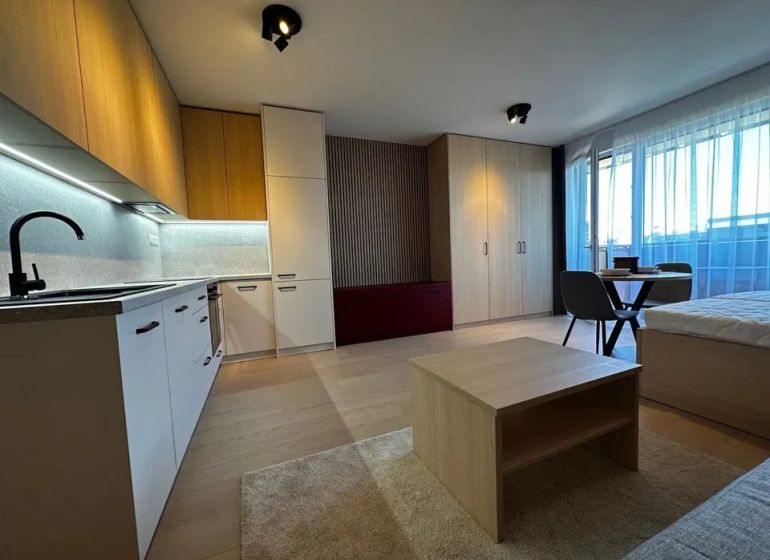 A kitchen with a wood-patterned floor, a dining table, and storage spaces, a studio apartment.