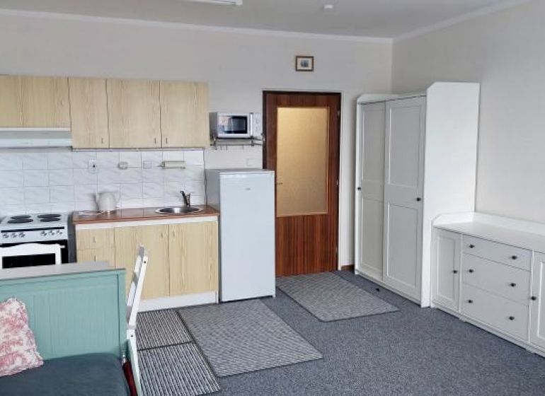 Studio apartment with a kitchen, sofa, and furniture, wooden decor flooring, Bratislava.