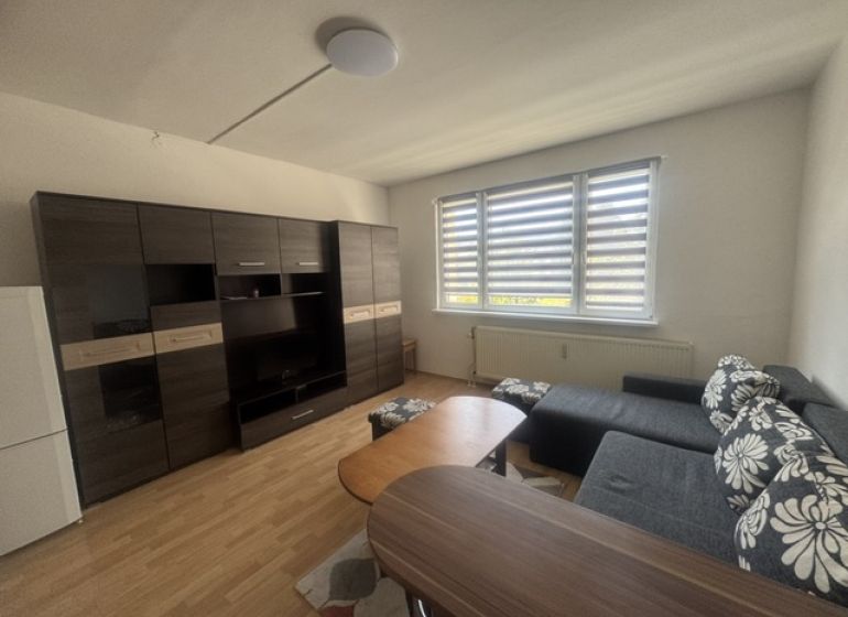 Living room in a two-room apartment with a gray sofa and a wooden decor floor.