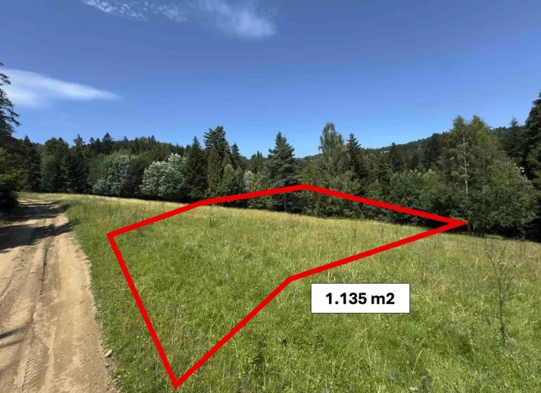 A plot of land with an area of 1,135 m² in nature near unique properties in Stará Ľubovňa.