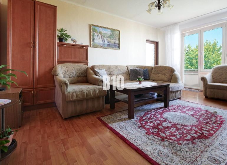 Living room with a sofa, carpet, and wooden decor flooring in a 2-room apartment.