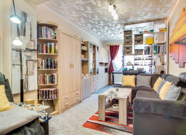 Living room of a two-room apartment with a sofa, bookshelf, and decorations.