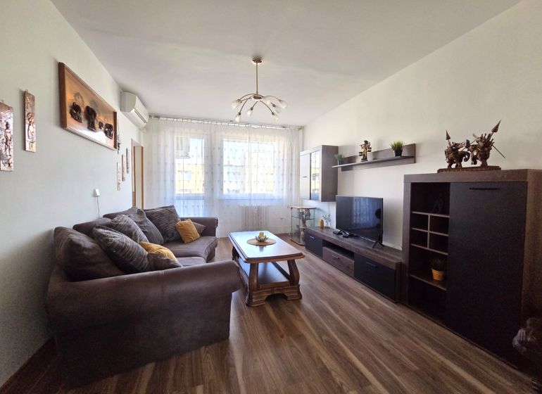 Living room in a three-room apartment with a sofa and a wooden decor floor.