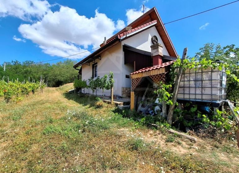 A cottage in Gbelce surrounded by greenery and vineyards under a blue sky.