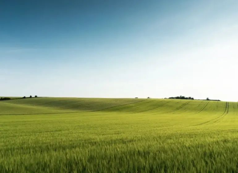 Green fields and gentle hills in the agricultural and forest lands near Medzany.