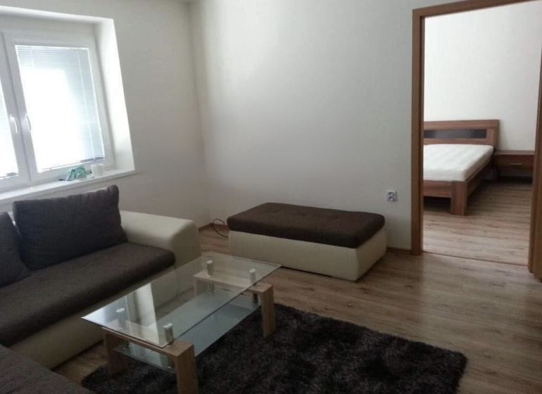 Interior of a 2-room apartment with a wooden decor floor, a couch, and a glass table.