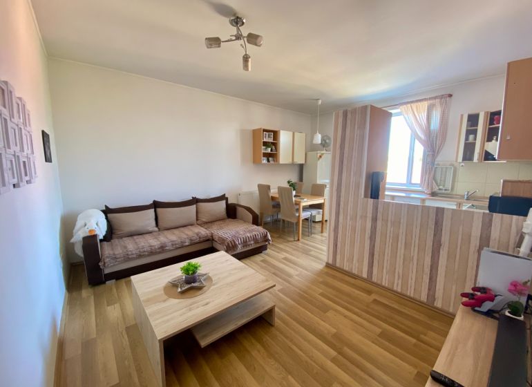 Living room in a studio apartment with wood-patterned flooring and an open-plan kitchen.