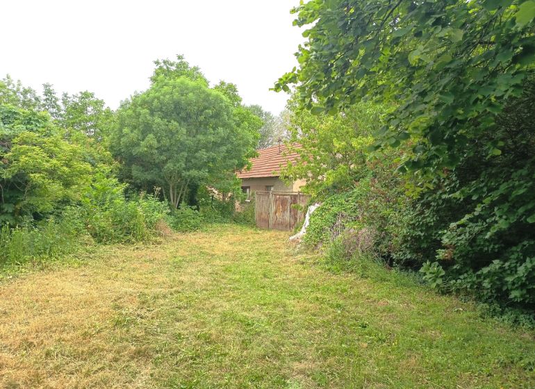 A garden at a family house in Nové Zámky with a lawn and rich greenery.