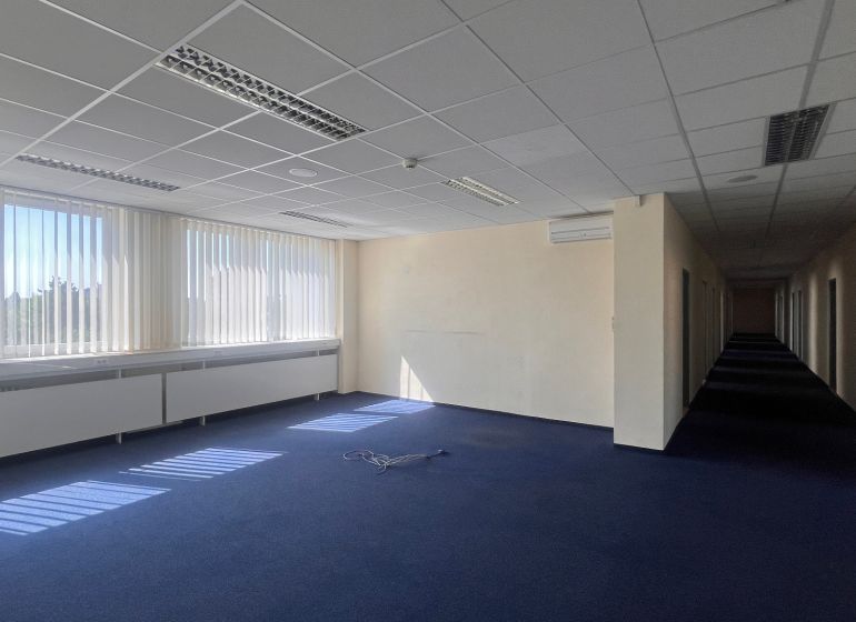 Offices with blue carpet, large windows, and a suspended ceiling on Drieňová Street.