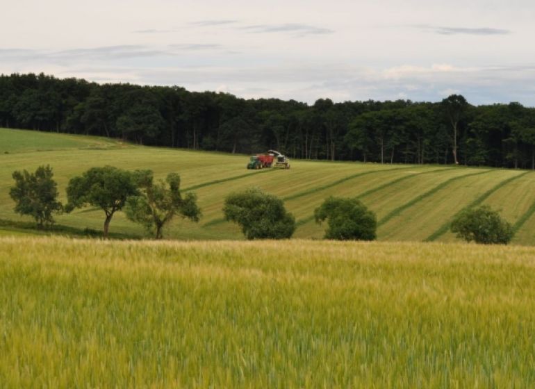 Agricultural and forest land in Bukovec with trees, a combine harvester, and a grain field.