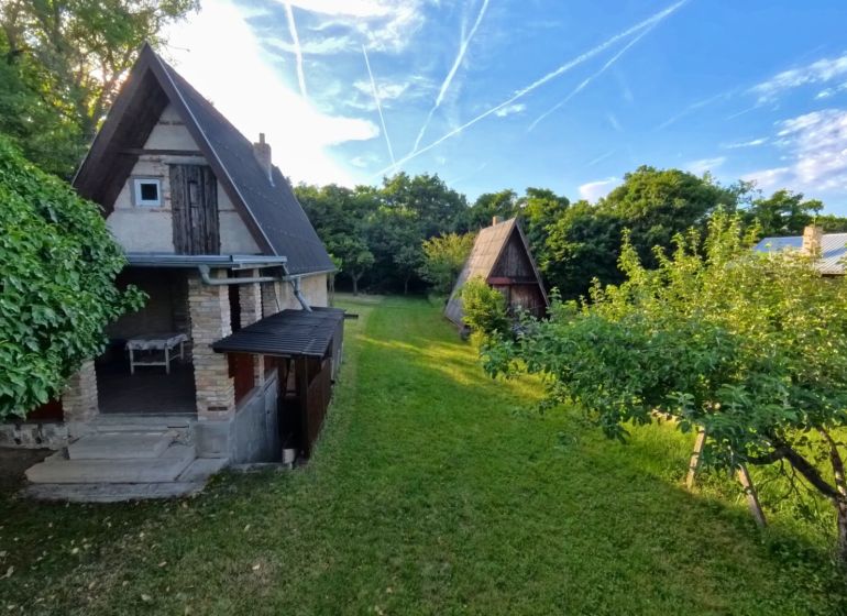 A cottage in Podhorany surrounded by greenery and fruit trees, sunny day.