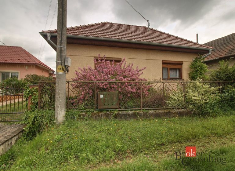 A family house in Ladice with a front garden and a fence, a flowering bush in front of the house.