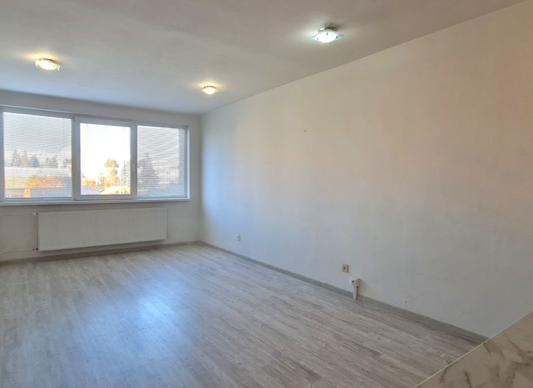 A bright room with a wood-patterned floor in a two-room apartment, large window.