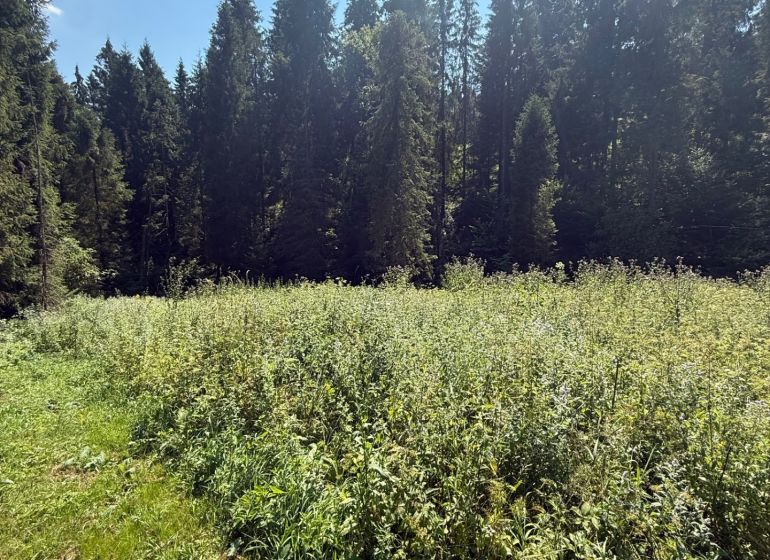 Recreational plots in Litmanová surrounded by green meadows and dense forests.
