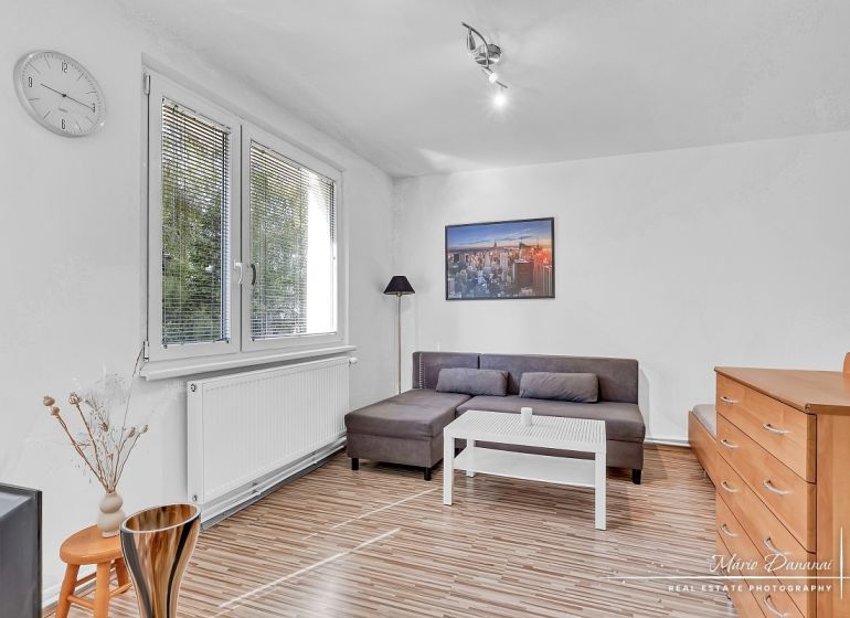 Living area of a studio apartment with a wood-patterned floor and a sofa.