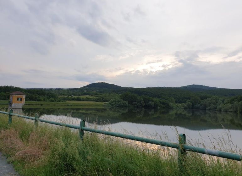 A lake surrounded by greenery and forests, reflecting nature in a quiet and picturesque setting.