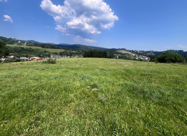 Green meadows in Olešná suitable for residential plots, surrounded by nature and hills.