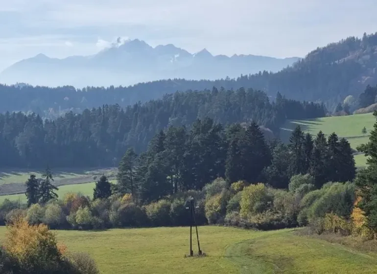 Mountains and forest lands near Stará Ľubovňa. A landscape with dense forests and meadows.