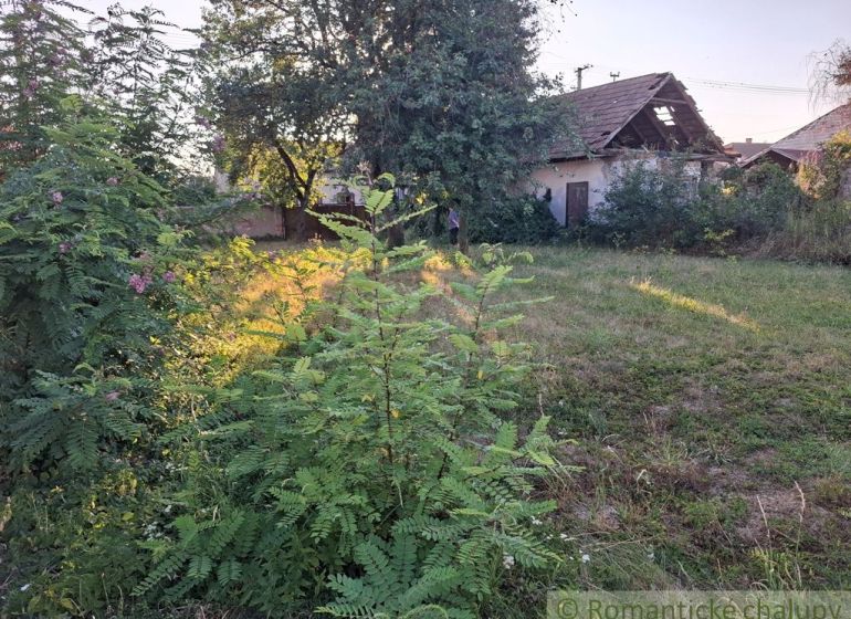 An overgrown plot of land near a family house in Malé Kosihy with lush vegetation.