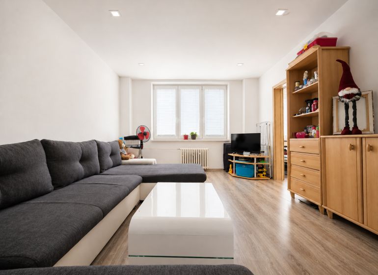 Living room with a dark sofa and a wooden decor floor in a studio apartment.