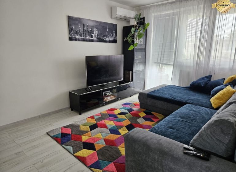 Living room in a 4-room apartment with a colorful carpet and wooden decor flooring.
