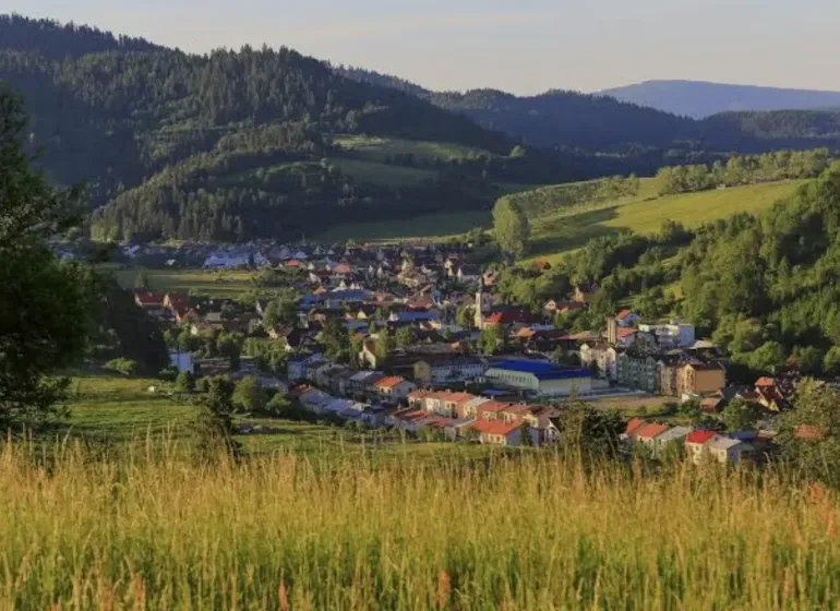 Panorama of Vyšné Ružbachy with surrounding hills and greenery in Special Properties.
