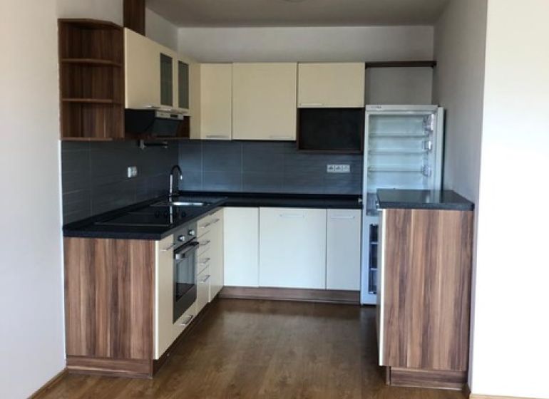 A kitchen with dark wood decor and appliances in a 2-room apartment.