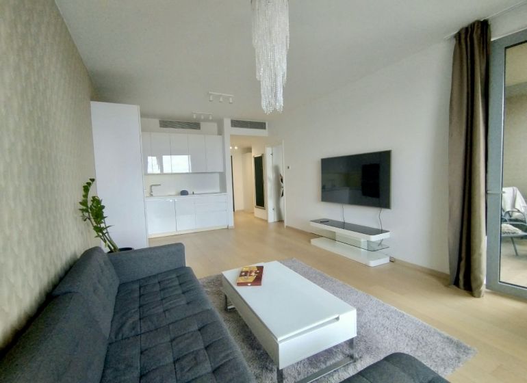 Living room in a two-room apartment with a wooden decor floor, a sofa, and a kitchen unit.