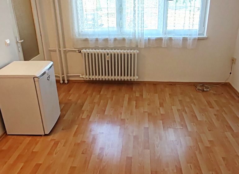 Studio apartment with wood-patterned flooring and a white refrigerator.