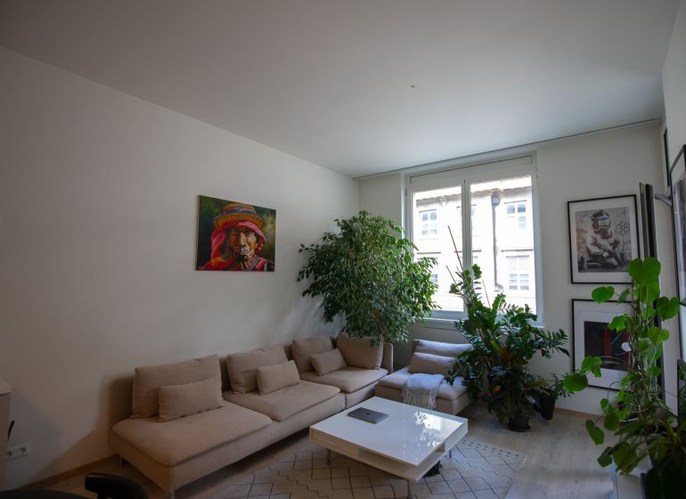 Living room with a sofa, plants, paintings, and a wooden decor floor in a 2-room apartment.