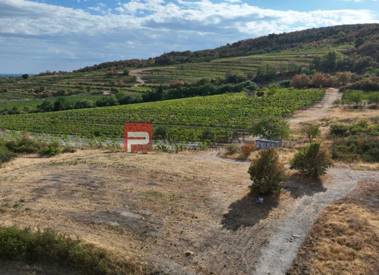 Plots - living in Modra, vineyards and hills under the blue sky, natural scenery.
