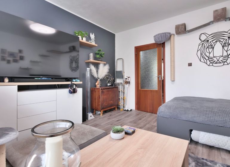 A bright living room with a large TV, decorations, and a wooden-patterned floor in a two-room apartment.
