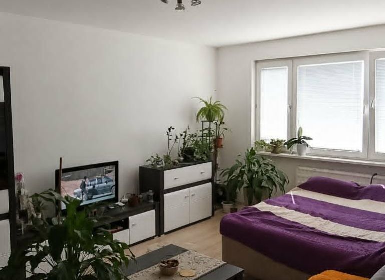Living room with furniture and plants in a 2-room apartment with wood-patterned flooring.